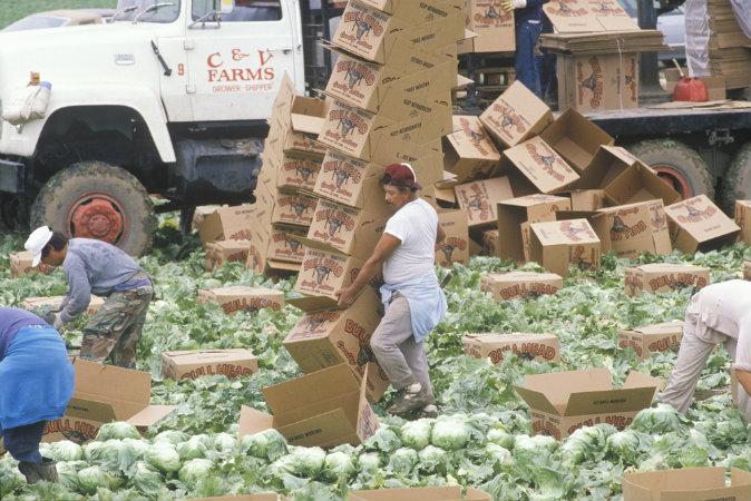 US Food Manufacturing—Science Based or Reckless?