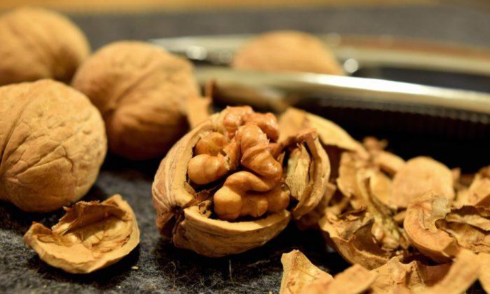 Can Walnuts Make Your Brain Younger?