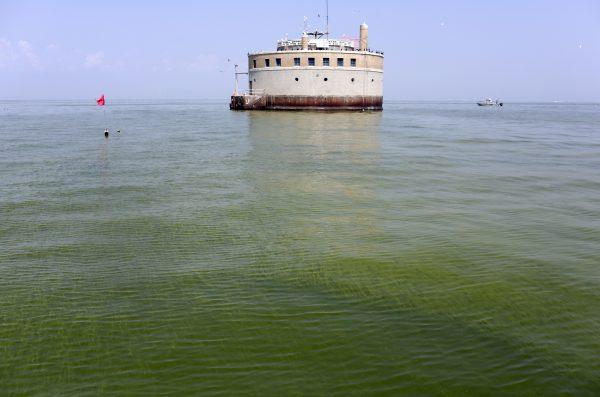 The City of Toledo water intake crib is surrounded by algae, Sunday, Aug. 3, 2014, in Lake Erie, about 2.5 miles off the shore of Curtice, Ohio. (AP Photo/Haraz N. Ghanbari)