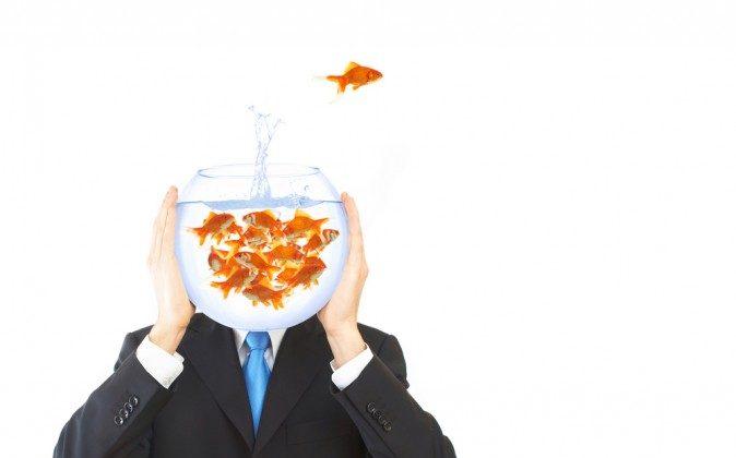 Does a ‘Fishy’ Lifestyle Keep Brains Healthy?
