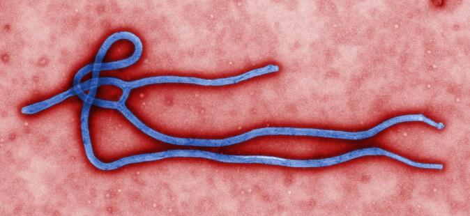 An Ebola Vaccine Is Not the Answer