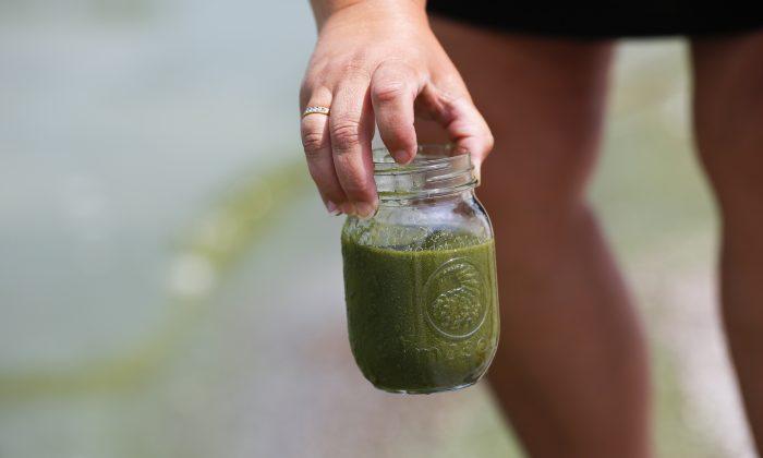 For Drinking Water, Lake Erie Algae Here to Stay