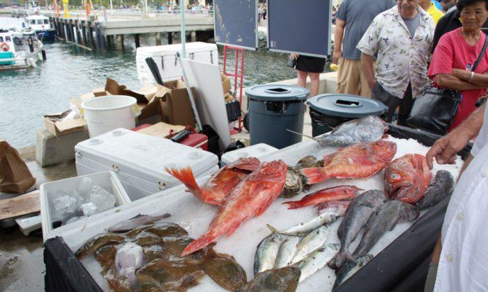 San Diego Dockside Fish Market Attracts Hundreds on First Day