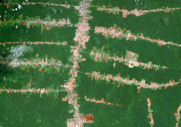 Deforestation Most Common Along Roads and Rivers