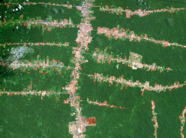 Deforestation Most Common Along Roads and Rivers