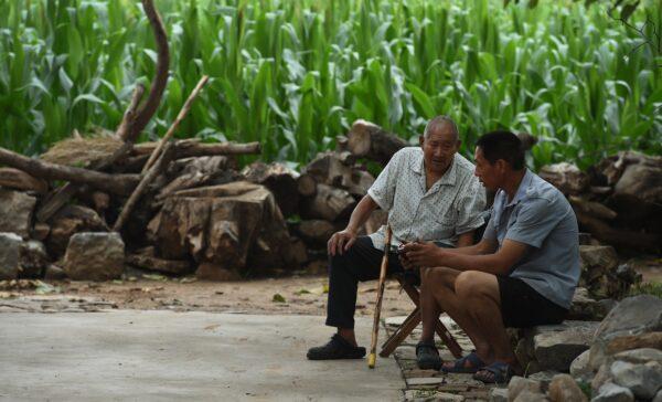 Two men listen to a portable radio near a cornfield in Weijian Village, in China's Henan Province on July 30, 2014. (Greg Baker/AFP/Getty Images)