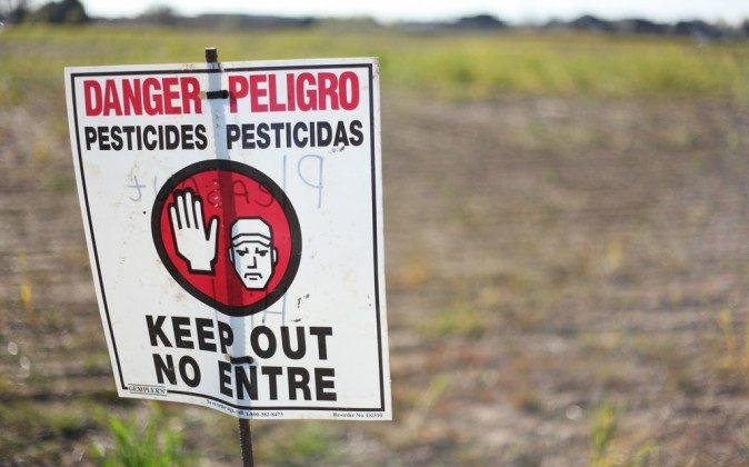 7 Ways GMOs are Destroying Humanity and the Planet 