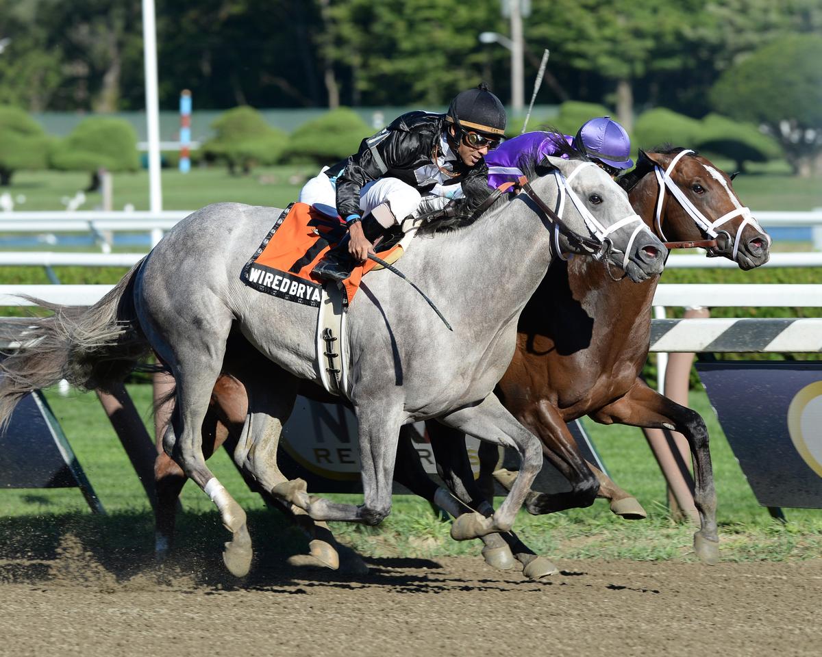 Saratoga Special Horse Race 2014: TV Channel, Live Stream, Post Time, Horses, Odds
