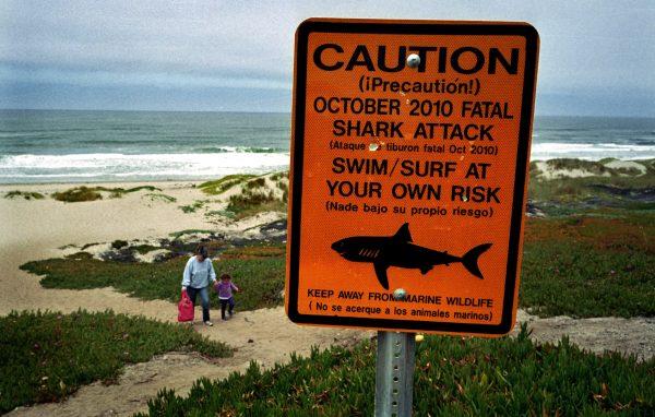 This July 11, 2011 photo shows a shark warning sign along the Surf Beach near Lompoc, Calif. in Santa Barbara County. (AP Photo/Michael Fernandez)