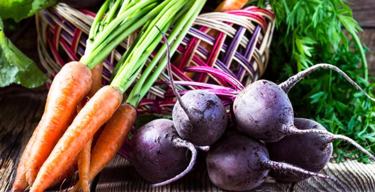 Top 6 Alkaline Foods for Your Everyday Meals