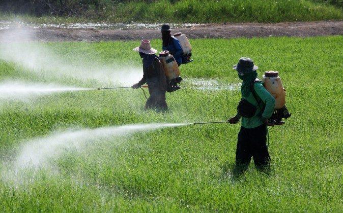 Low-Level Pesticide Exposure Linked to Parkinson’s Disease