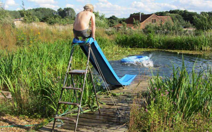 Natural Pools: A Chemical-Free Swimming Experience (+Video)