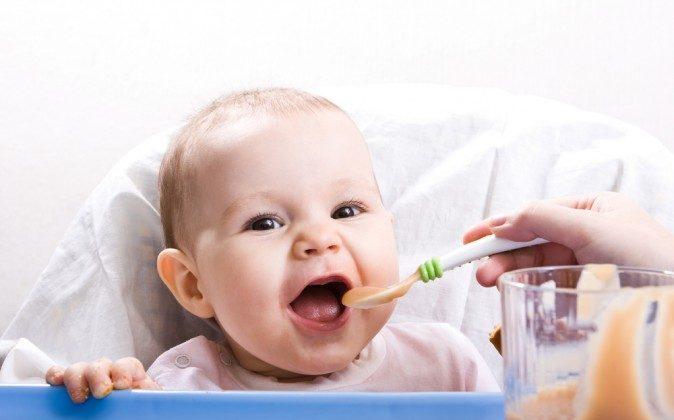 Baby Food DIY