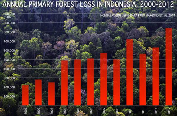 Indonesia Plans to Cut 14M Hectares of Forest
