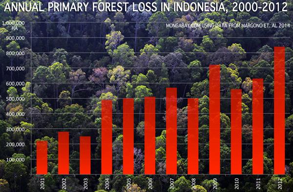 Indonesia Plans to Cut 14M Hectares of Forest