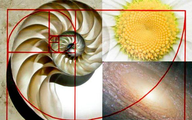 The Golden Ratio—A Sacred Number That Links the Past to the Present