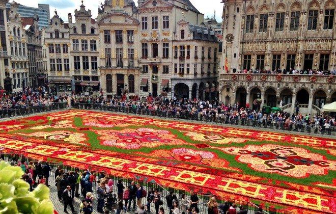 Flower Power: Seeing the Flower Carpet in Brussels