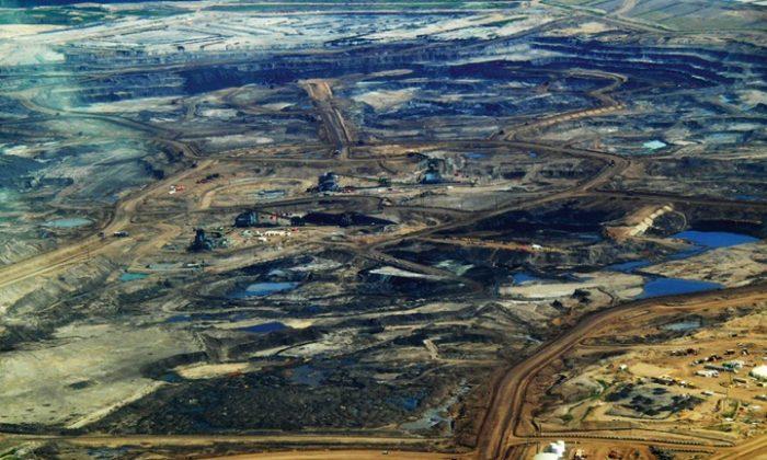 Huge Forest Losses From Oil Extraction in Canada
