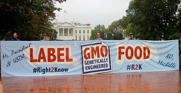Time for Congress to Take a Stand in the GMO Labeling Debate