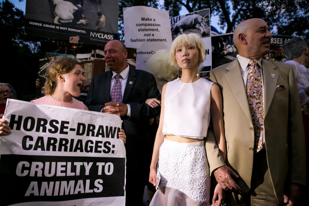 NYFW Opening Pushed Back By Horse-Drawn Carriage Protest