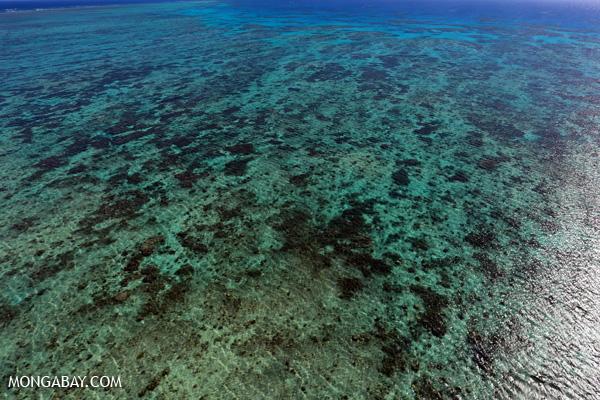 Great Barrier Reef Safe, For Now.