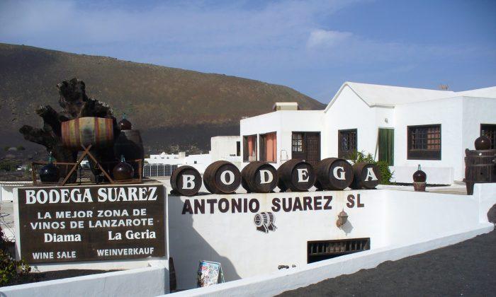 Lanzarote, Canary Islands: Where Art Meets Nature