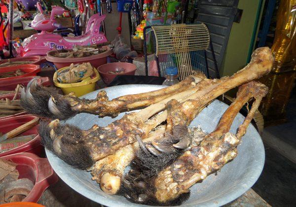 Illegal Wildlife Trade Stopped by Social Media