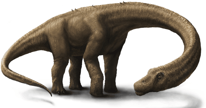 Newly Discovered Dinosaur, Dreadnoughtus, Patrolled Argentina 77 Million Years Ago