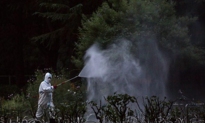 Southern China Struggles to Control Dengue Fever, Record Number of Cases Reported