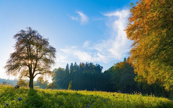 3 Easy Tips For a Healthy Autumn