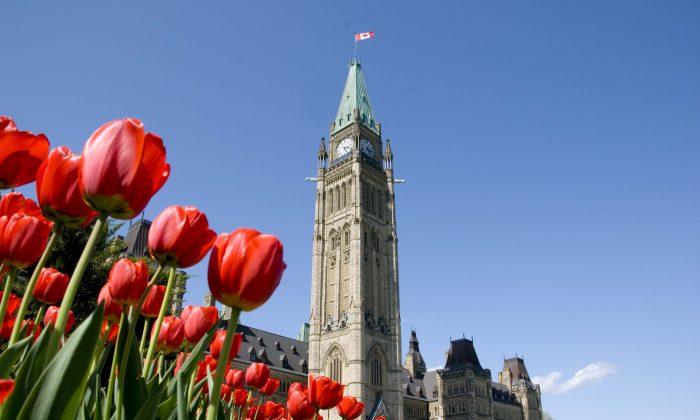 Canadian Tulip Festival Named Number One Event