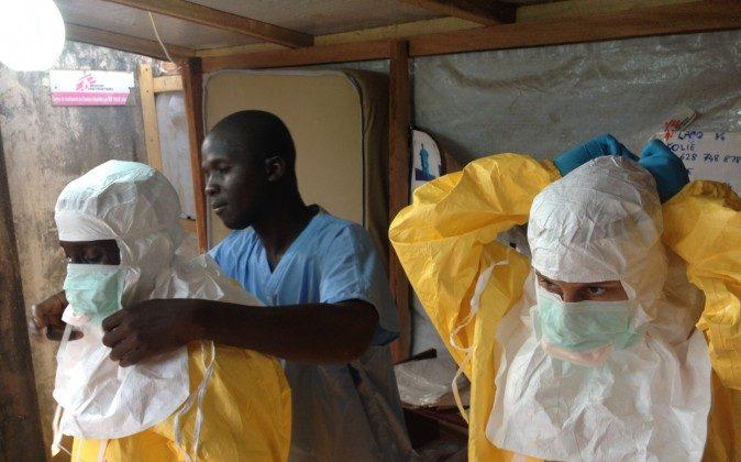 Genetic Evolution: How the Ebola Virus Changes and Adapts