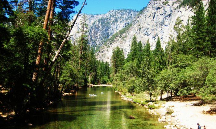 Black Bears and Tent Cabins: My Yosemite Experience