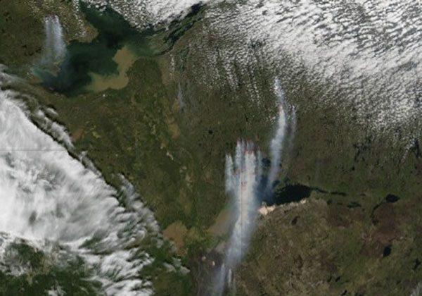 Canadian Forests Require Wildfires for Biodiversity