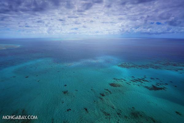 Leonardo DiCaprio Speaks to the UN Climate Summit