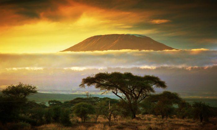 Klein’s Camp: Tanzania, And Beyond
