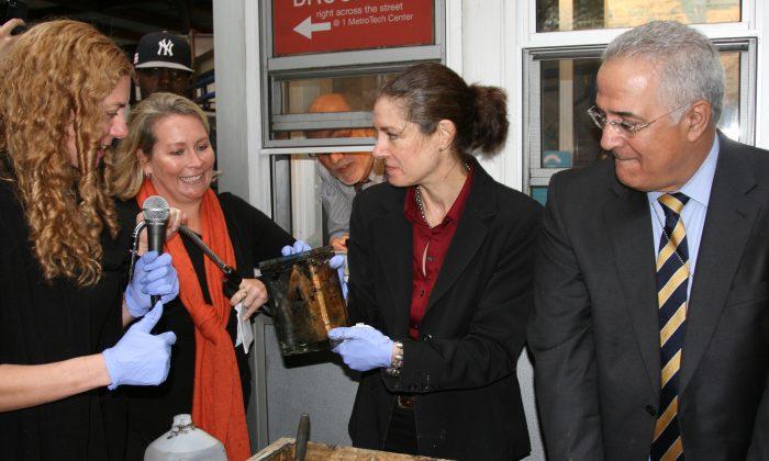 Jay Street Metrotech Time Capsule Unveiled After 64 Years, to Find...Mud