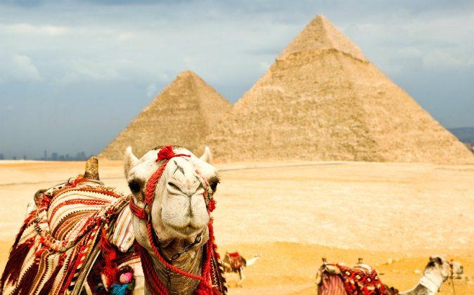 13 Tips Every Visitor to Egypt Must Know
