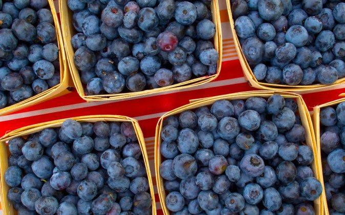 Blueberries: One of Nature’s Best Foods