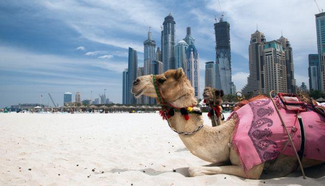  Dubai’s Top 5 Desert Distractions