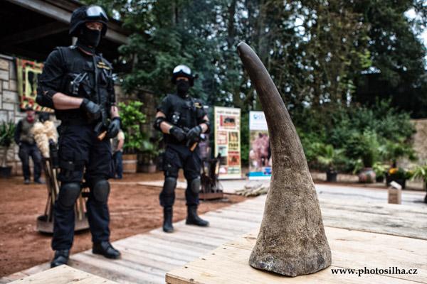 Czech Republic Burn Confiscated Rhino Horns 