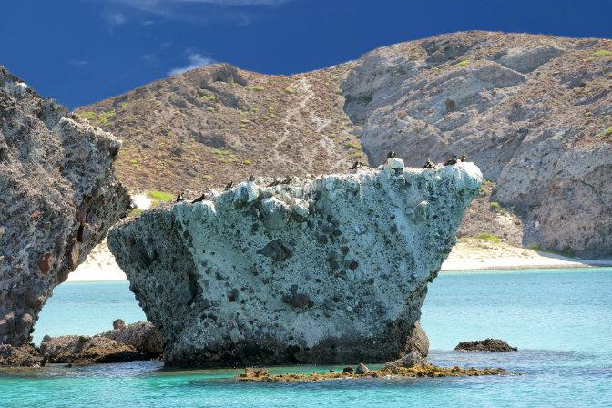 Top Reasons to Visit Cabo San Lucas, Mexico