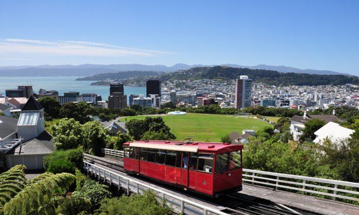 Free Attractions in Wellington New Zealand