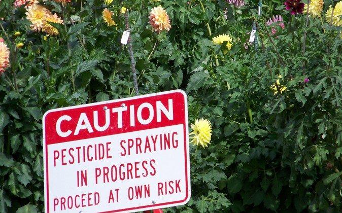 Mental Health Awareness Week: Pesticide Use by Farmers Linked to High Rates of Depression, Suicides