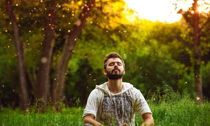 Mindfulness: How to Be in the Moment, Right Here, Right Now