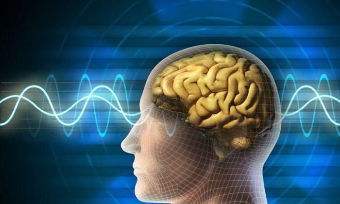 Zapping the Brain With Tiny Magnetic Pulses Improves Memory