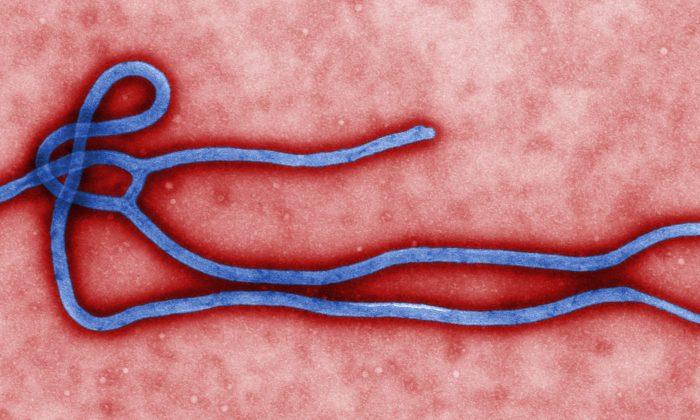 Canada Disease Employee May Have Been Exposed to Ebola Virus