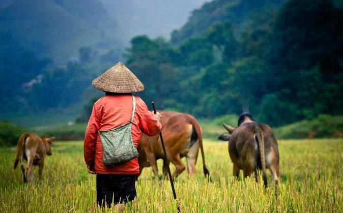 7 Reasons to Visit Cambodia During the Green Season