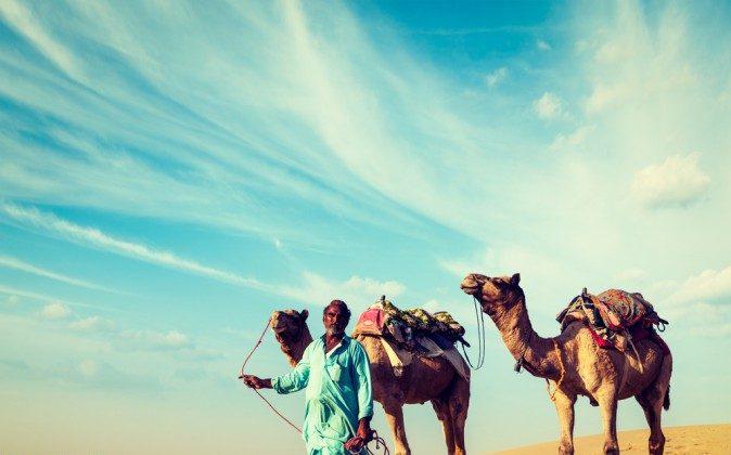 How a Deadly Camel Virus Infects Human Cells
