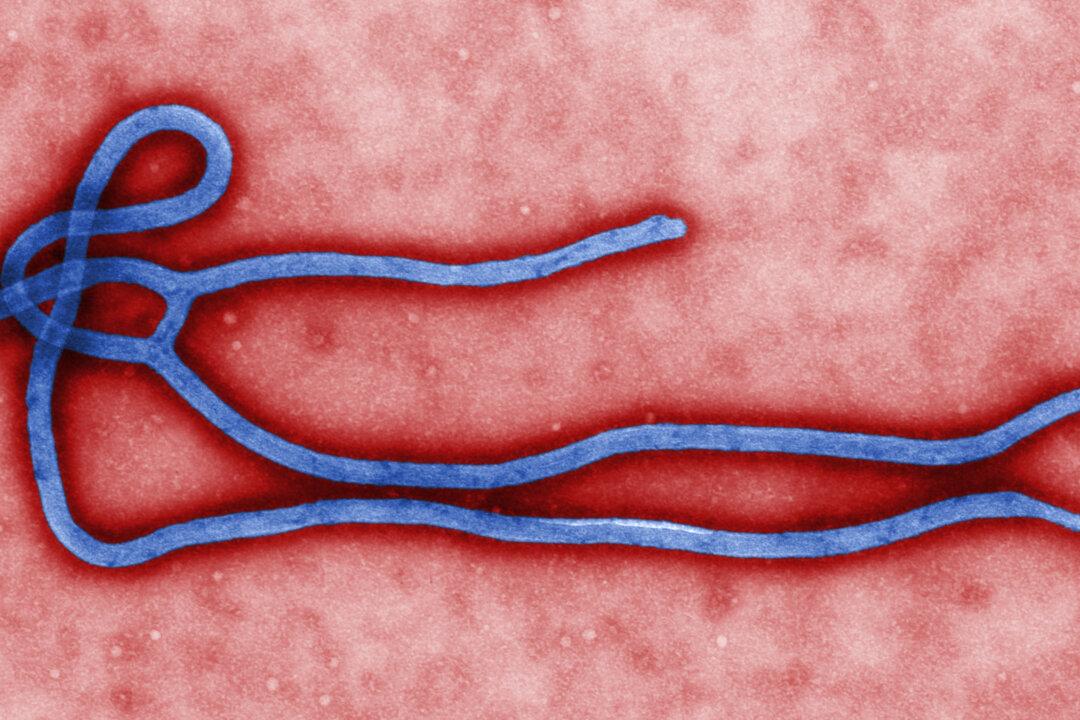 Belton, Texas: Family Who Sat Near Ebola Nurse on Plane Quarantined